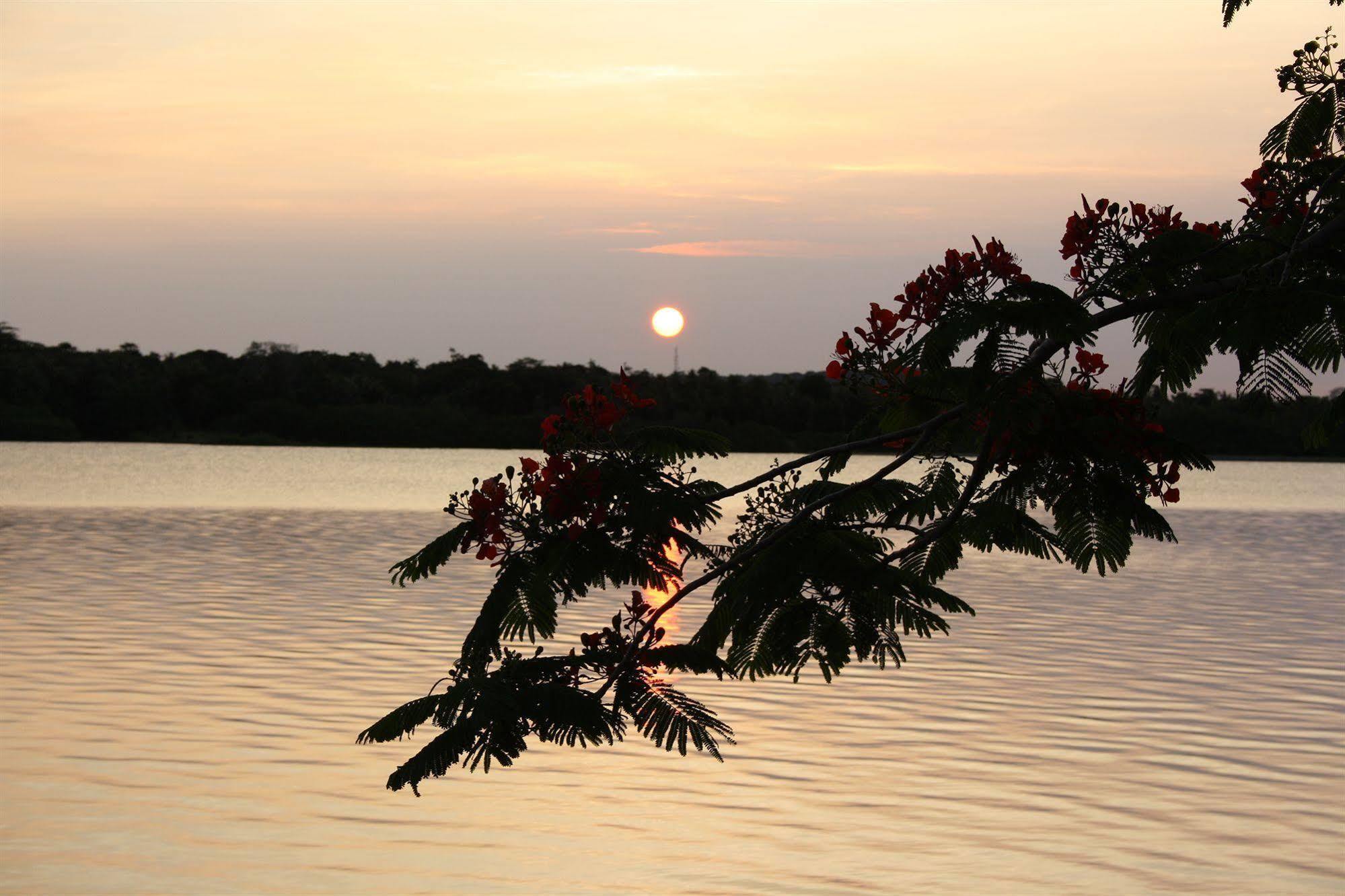 Sunset Bungalows Resort, Vanuatu Port Vila Dış mekan fotoğraf